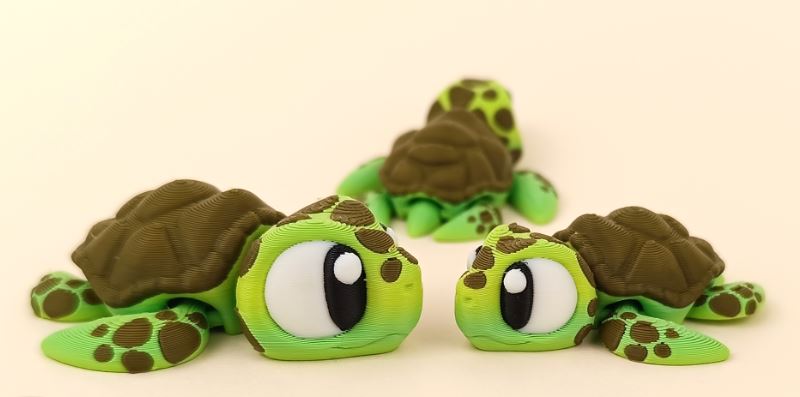 Timmy the Mini Turtle