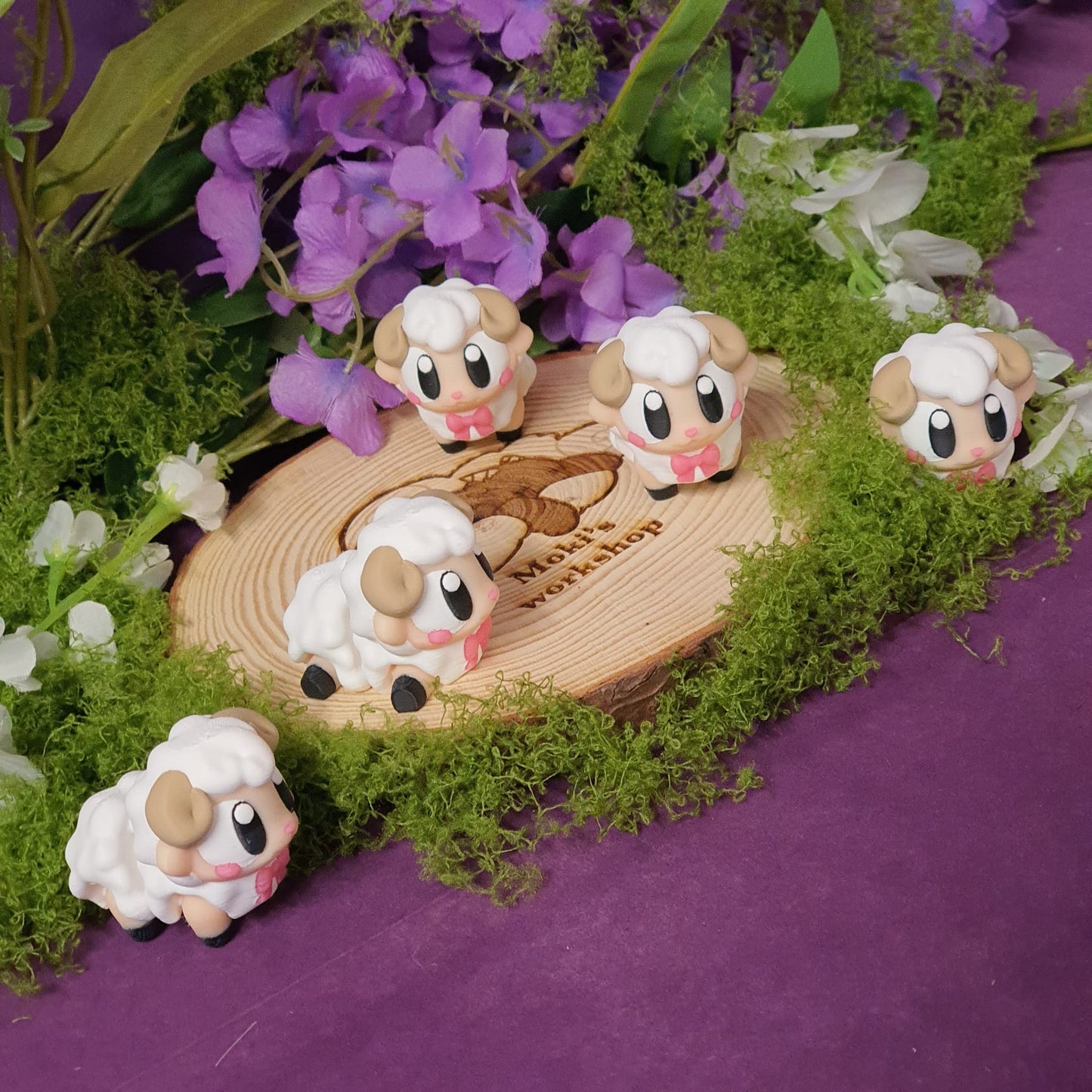 Cotton the Sheep
