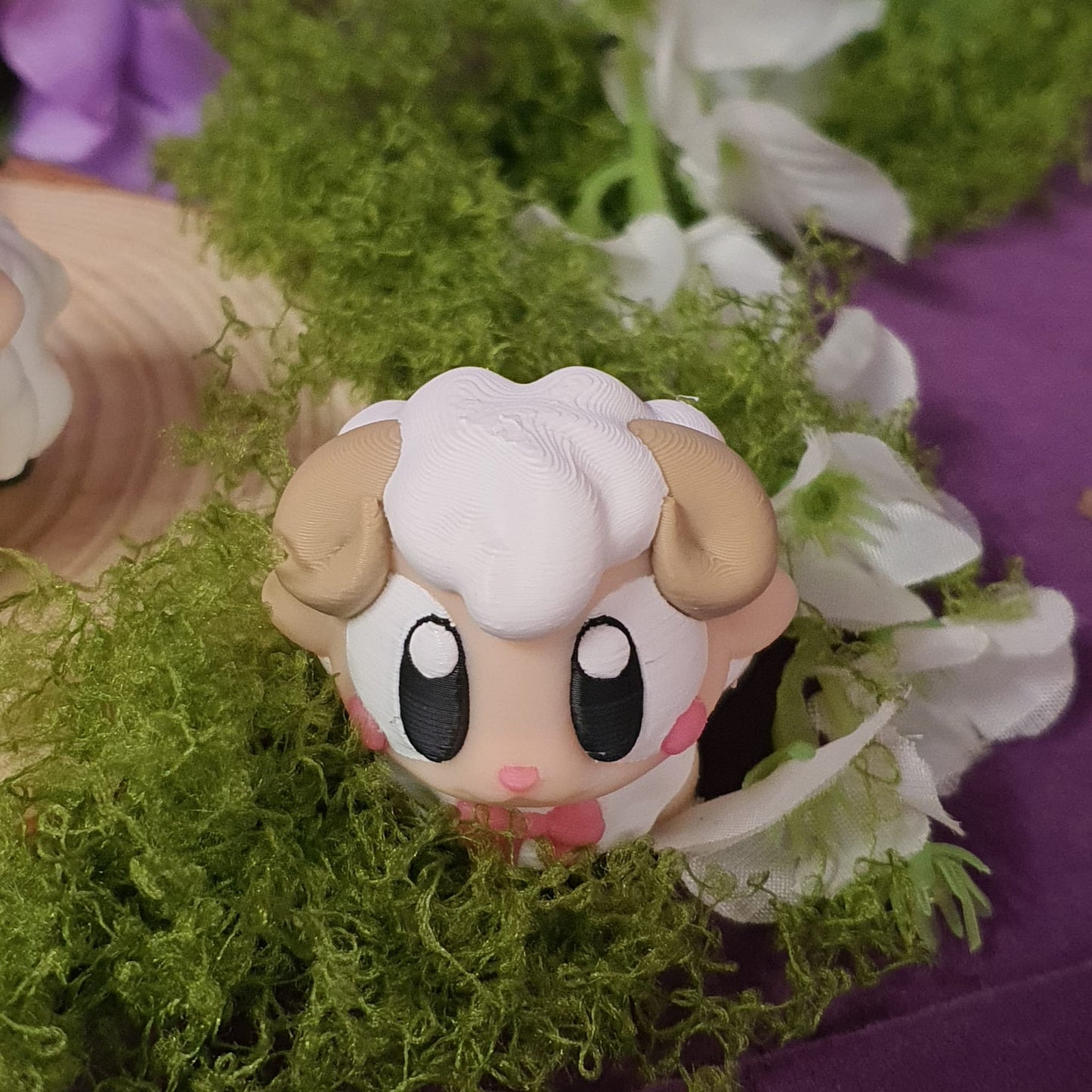 Cotton the Sheep