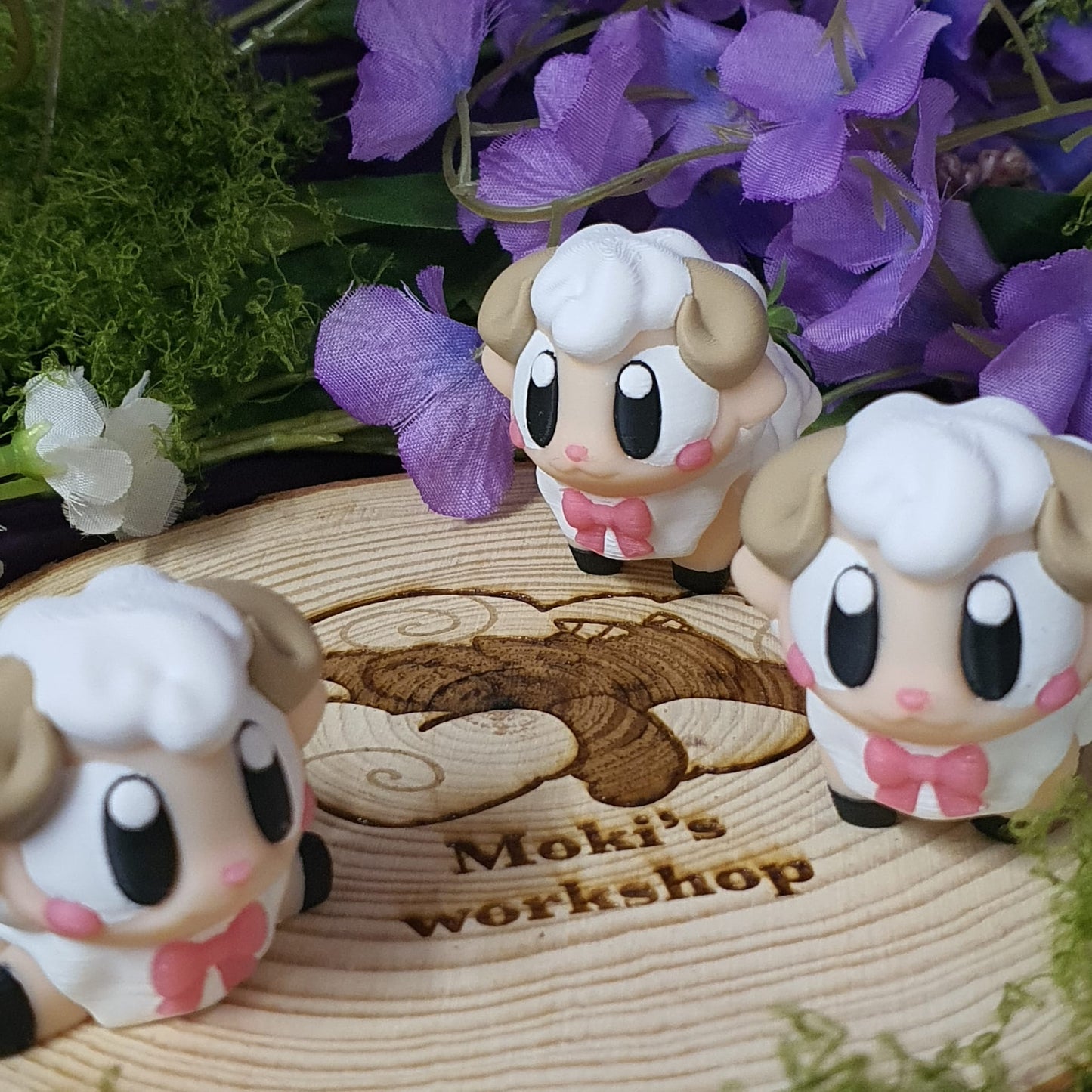 Cotton the Sheep