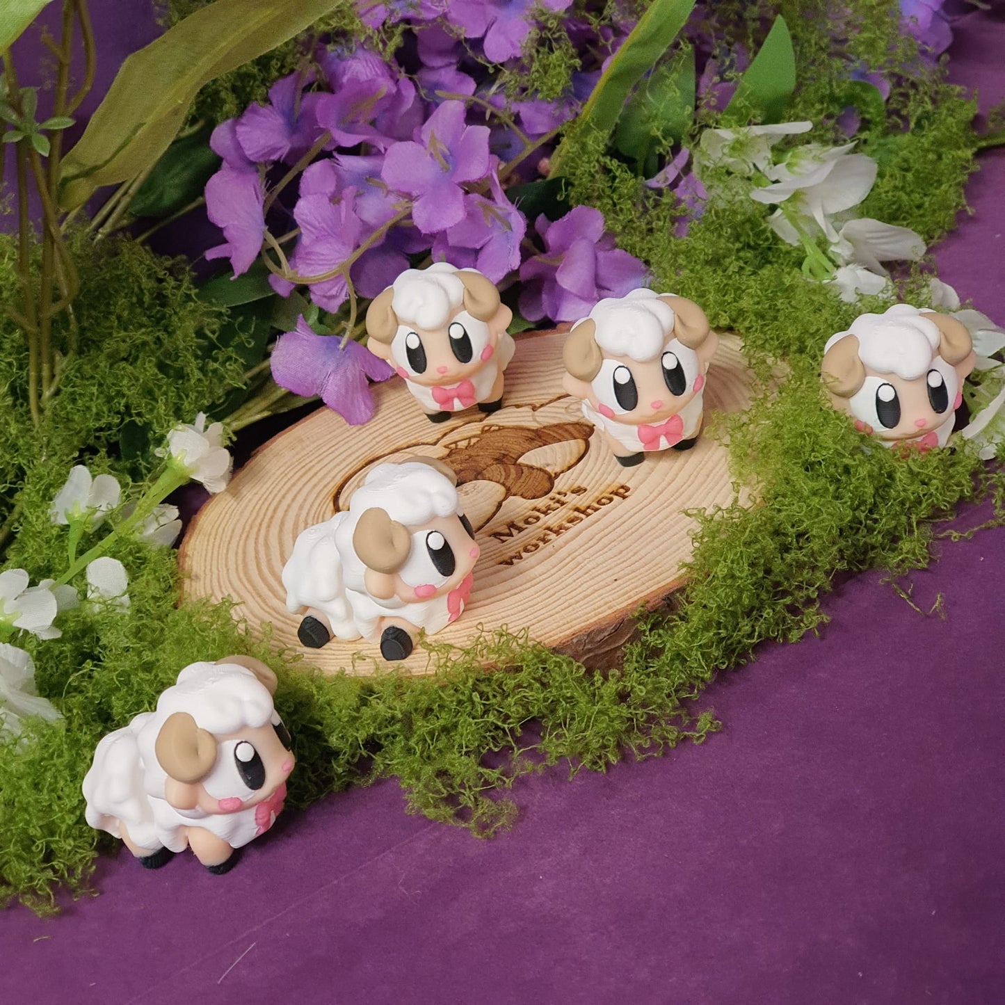 Cotton the Sheep